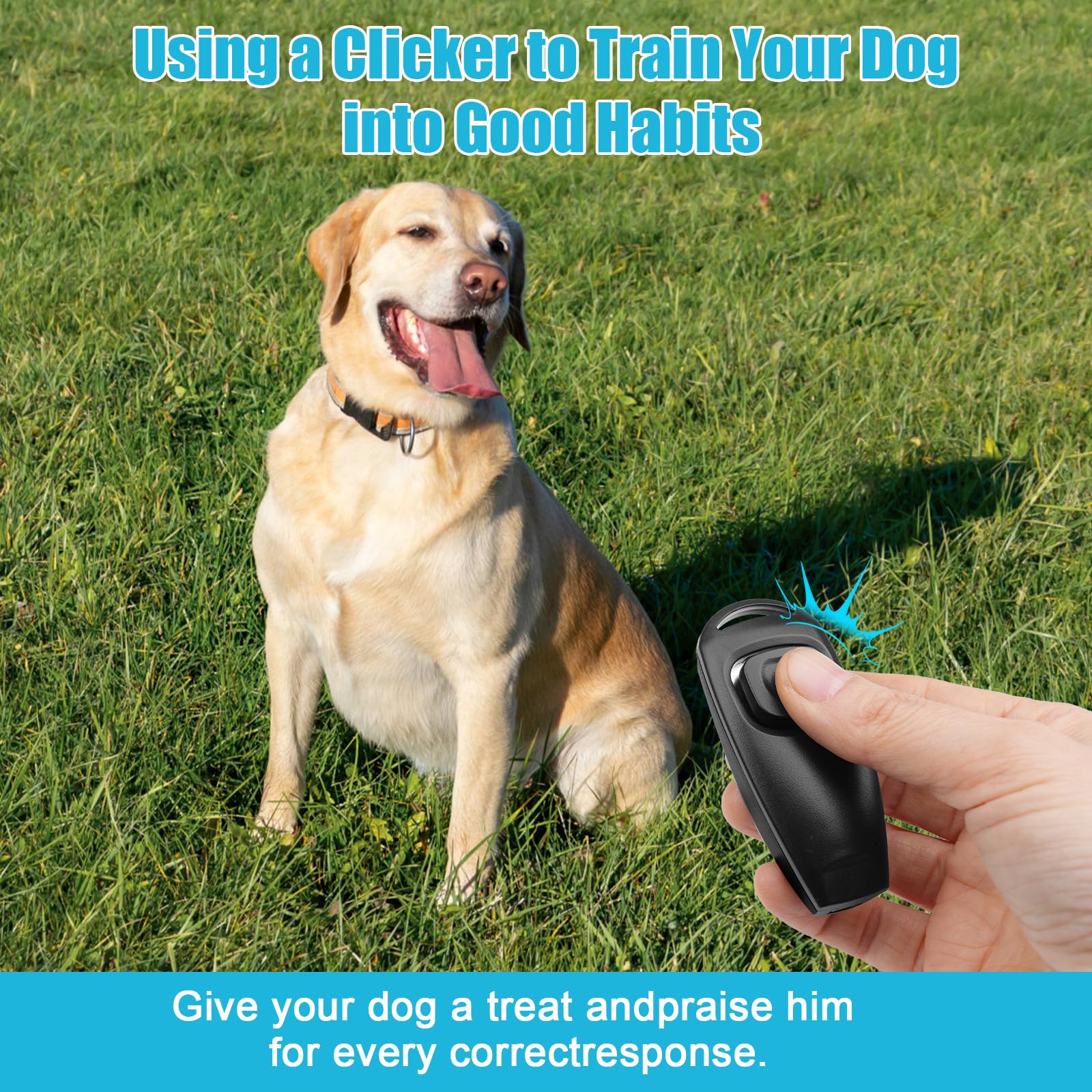 Eoedepaz 2-In-1 Dog Training Clicker Whistle For Training And Recall, Pet Training Accessories For Puppy, Cats, Horses & Small A